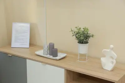 a shelf with a plant and a vase on it at Vila Harmony in Pirot