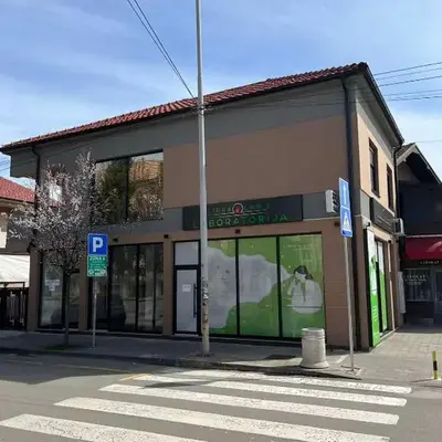 Apartman Paradiso