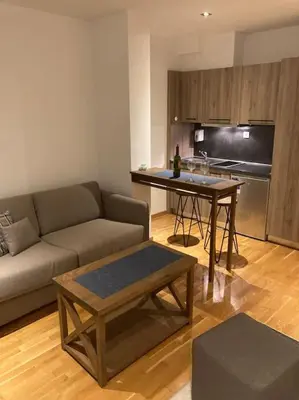 a living room with a couch and a table and a kitchen at Apartman Jelka Brzece in Brzeće