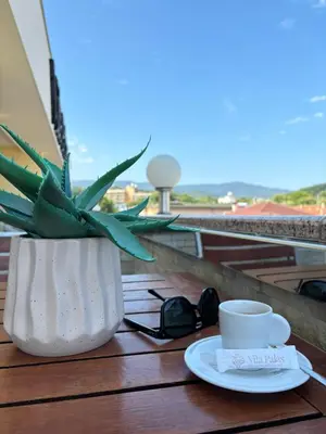 a table with a cup of coffee and a plant at Vila Palas in Vrnjačka Banja