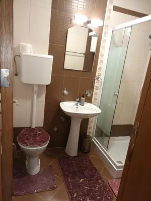 a bathroom with a toilet and a sink and a shower at Apartman Romantic in Vrnjačka Banja