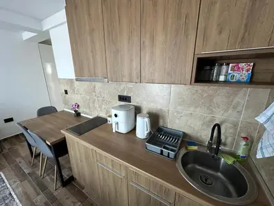 a kitchen with a sink and a wooden counter top at Gencian resort in Kopaonik