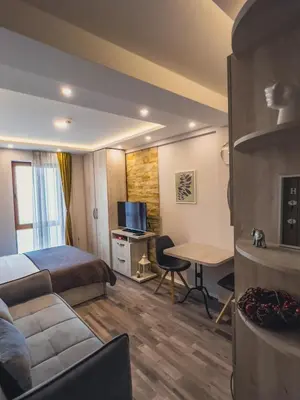 a hotel room with a bed and a desk at Milmari Premier - Daisy Apartments in Kopaonik