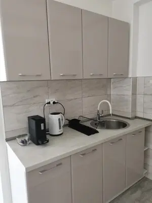 a kitchen with a sink and a counter top at Quince in Bor