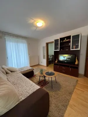 a living room with a bed and a flat screen tv at Apartman Danica in Vrnjačka Banja