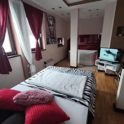 a bedroom with a large bed and a television at Queen 2 in Niš