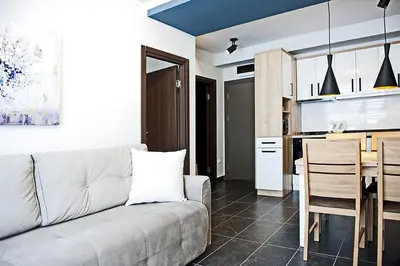 a living room with a couch and a kitchen at Apartman Čardaka 11/42 in Kopaonik