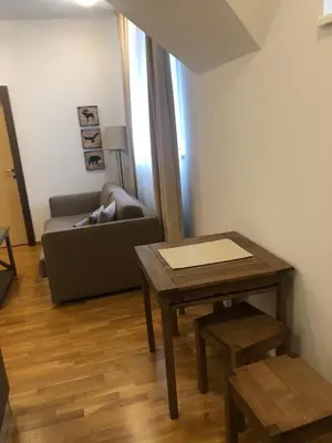 Gallery image of Apartman DUSA in Kopaonik