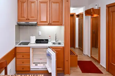 a small kitchen with wooden cabinets and a sink at Apartman Sakovic in Kopaonik