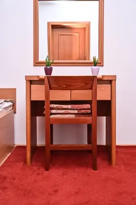 a wooden table with a mirror and two plants on it at Apartman Sakovic in Kopaonik