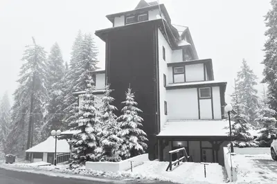 a building covered in snow with a tree in front of it at Apartman Sakovic in Kopaonik