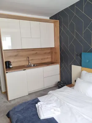 Gallery image of Ru&Ki apartman- Hotel Djina A13 in Kopaonik
