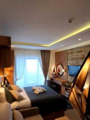 Gallery image of VISTANOVA N LUX 43 studio za 4 osobe sa pogledom in Kopaonik