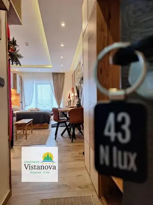 Gallery image of VISTANOVA N LUX 43 studio za 4 osobe sa pogledom in Kopaonik