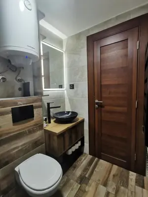 a bathroom with a toilet and a sink at Apartman 16 Pancic in Kopaonik