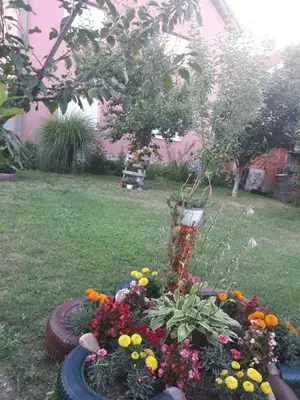 a garden with a bunch of flowers in a yard at Apartman Drina in Berilovac