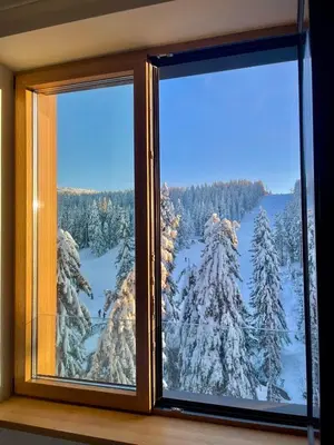 a window with a view of a snow covered forest at Woodside Kopaonik & SPA by Slopeview in Kopaonik