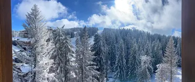 a view of a snow covered forest with snow covered trees at Woodside Kopaonik & SPA by Slopeview in Kopaonik