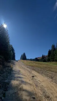 a dirt road in the middle of a field at Glečer Apartman 6 in Kopaonik