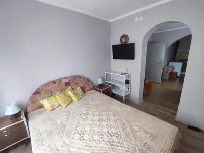 a bedroom with a large bed and a television at Apartman Kristina Ribarska banja in Kruševac