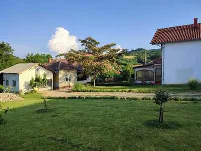 a yard with a house and a tree in the grass at Apartman Kristina Ribarska banja in Kruševac