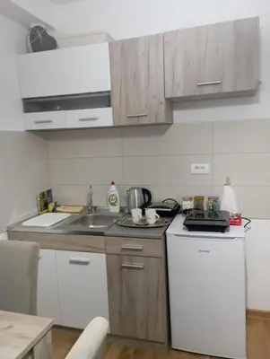 a small kitchen with a sink and a stove at Apartman Bajka in Vrnjačka Banja