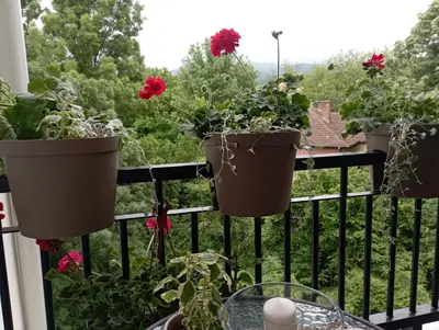 a balcony with flower pots on a rail at Apartman Bajka in Vrnjačka Banja