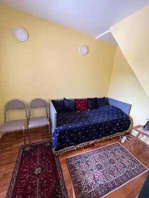 a living room with a blue couch and two rugs at Panorama in Vrnjačka Banja