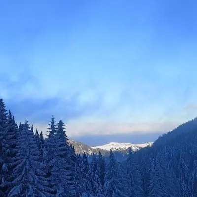 a snow covered forest with trees and snow covered mountains at PETRA Apartman Kopaonik in Kopaonik