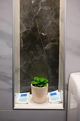 a potted plant sitting on a shelf in a bathroom at Spa Apartman Grand in Niš