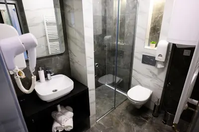 a bathroom with a shower and a sink and a toilet at Spa Apartman Grand in Niš
