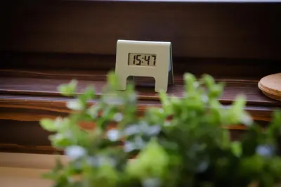 an electrical outlet with a clock on it next to a plant at Apartman Hris in Vrnjačka Banja