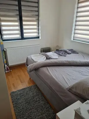 a bedroom with a bed and two windows at Apartman Tina in Vrnjačka Banja