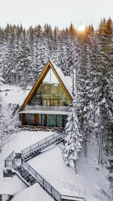 a cabin in the snow with snow covered trees at Sofia - Mountain Home in Kopaonik