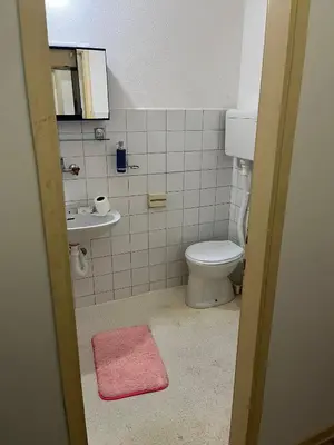 a bathroom with a toilet and a sink and a pink rug at Mance apartments in Paraćin