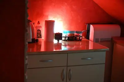 a kitchen with red walls and a counter with a refrigerator at Apartmani Tomašević in Paraćin