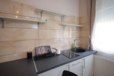 a small kitchen with a sink and a counter top at Soho in Vrnjačka Banja