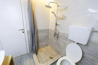 a bathroom with a shower and a white toilet at Smestaj Dzentlmen in Soko Banja