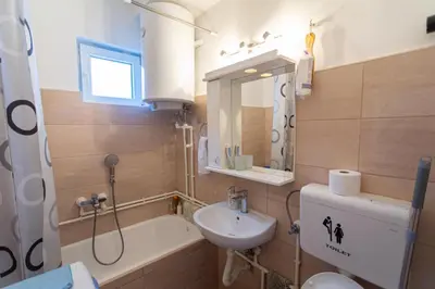 a bathroom with a sink and a toilet and a bath tub at Fenix1 in Knjazevac.