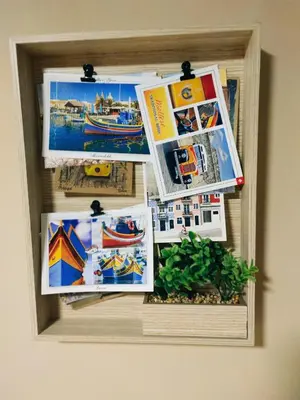 a bulletin board with pictures and a plant in a drawer at Nirvana apartment in Niš