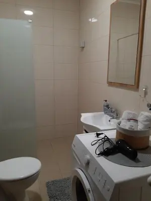 a bathroom with a washing machine and a sink at Apartman Milic Pirot-Zapadni Kej 10 in Pirot