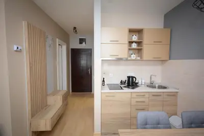 a kitchen with a sink and a counter top at Apartman Elena 14 in Vrnjačka Banja