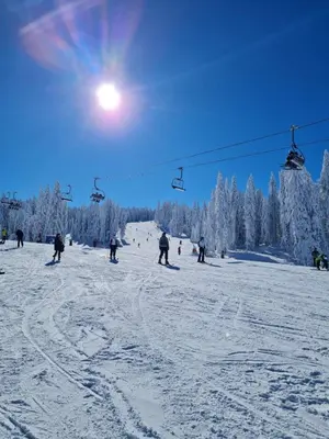 Gallery image of Ogy's apartment in Kopaonik