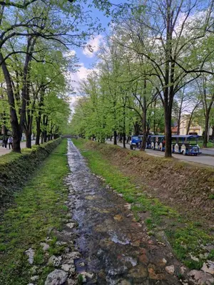 a cobblestone road in a park with trees at Apartman Bošković Vrnjačka Banja in Vrnjačka Banja