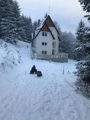 a dog laying in the snow in front of a house at Pekakop Treska in Kopaonik