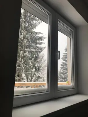 a window with a view of a snow covered tree at Pekakop Treska in Kopaonik