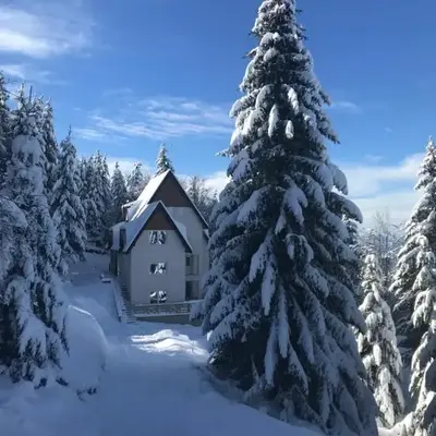 Pekakop Treska