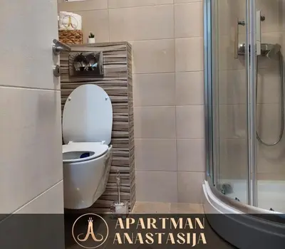 a bathroom with a toilet and a glass shower at Apartman Anastasija Vrnjačka Banja in Vrnjačka Banja