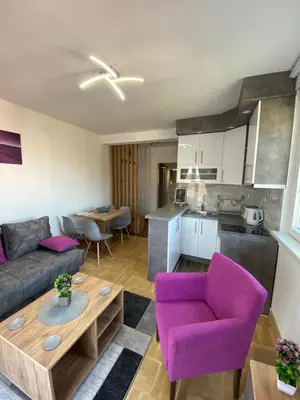 a living room with a couch and a table at APARTMAN TAMARA LUX in Vrnjačka Banja