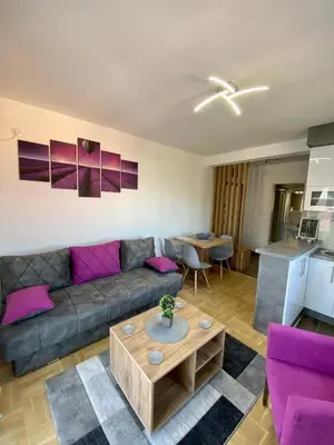 a living room with a couch and a table at APARTMAN TAMARA LUX in Vrnjačka Banja